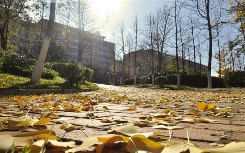 2023年重庆考生多少分可以上云南交通职业技术学院汽车检测与维修技术专业？