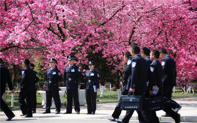 2023年云南警官学院在海南录取批次及录取分数参考