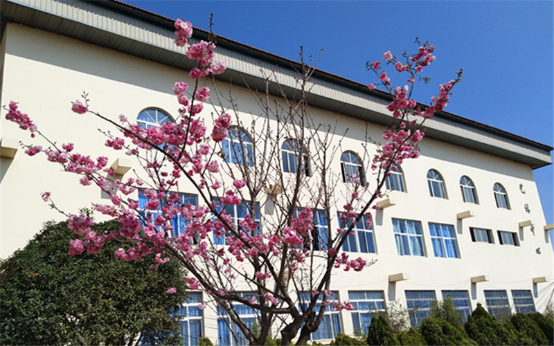 2023年云南新兴职业学院在四川招生专业有哪些？学费是多少？