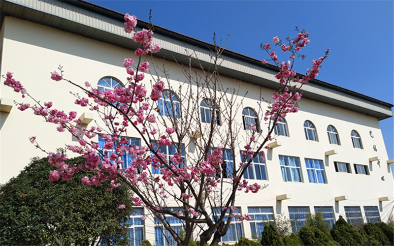 云南新兴职业学院建筑消防技术专业录取分数线【重庆高考物理类】
