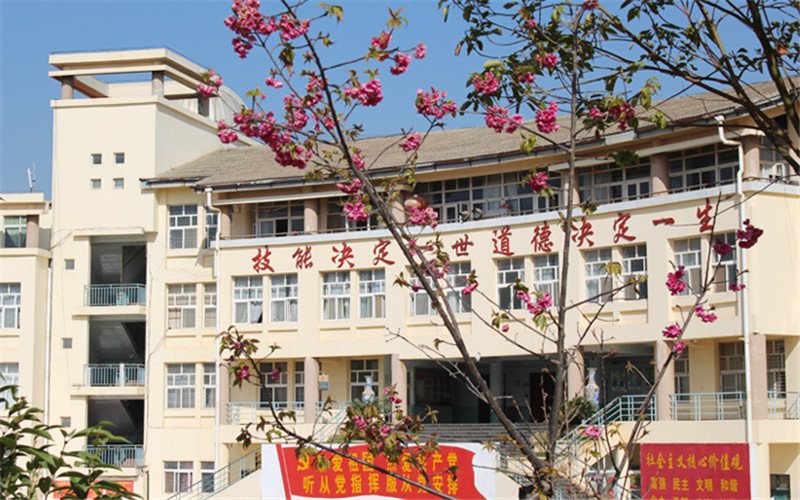 2023年云南新兴职业学院在广西录取批次及录取分数参考