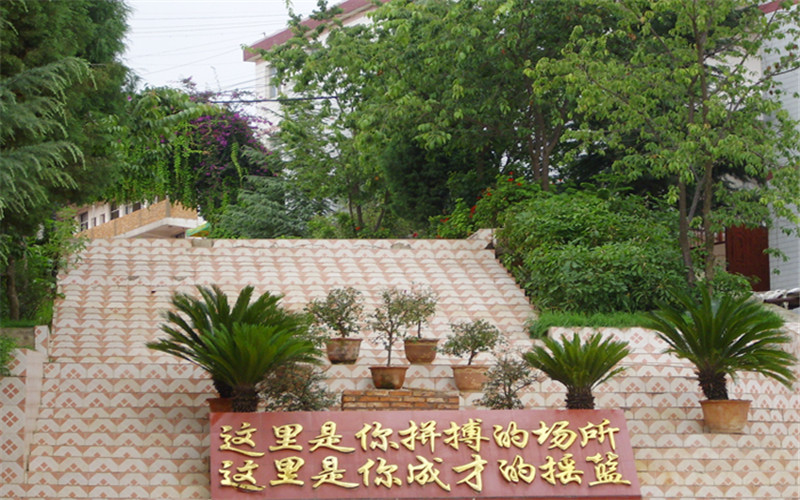 云南新兴职业学院护理专业录取分数线【重庆高考历史类】