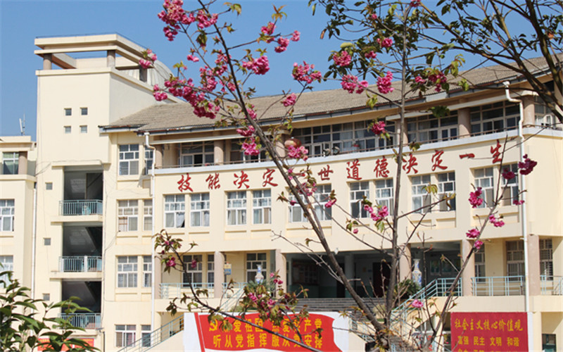 2023年云南新兴职业学院在云南招生专业有哪些？学费是多少？