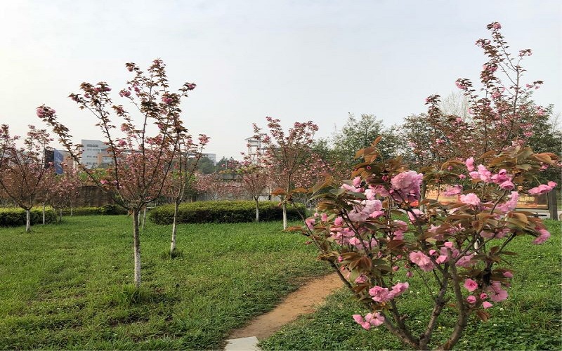 【2022高考参考】贵州医科大学神奇民族医药学院2021年四川最低录取分数及位次