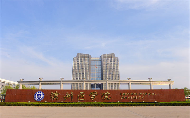 2023年滨州医学院在北京招生专业及招生人数汇总
