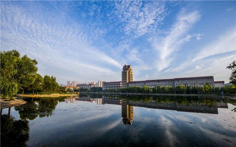 烟台大学食品科学与工程专业在山东招生录取分数(综合)：516分