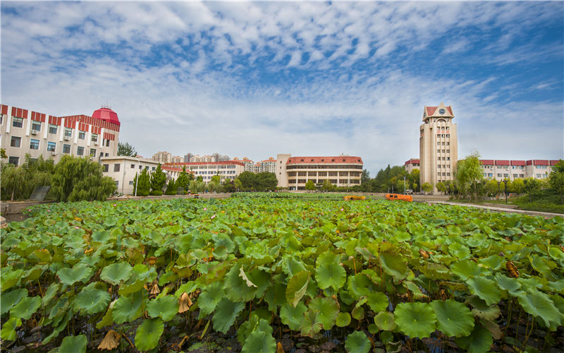2023年烟台大学在天津招生专业有哪些？学费是多少？