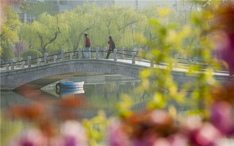 2024考生参考：2023烟台大学软件工程专业在河北招生录取分数及录取位次