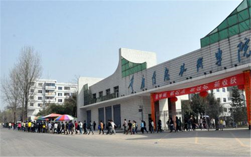 合肥信息技术职业学院建筑设计专业录取分数线【河北高考历史类】