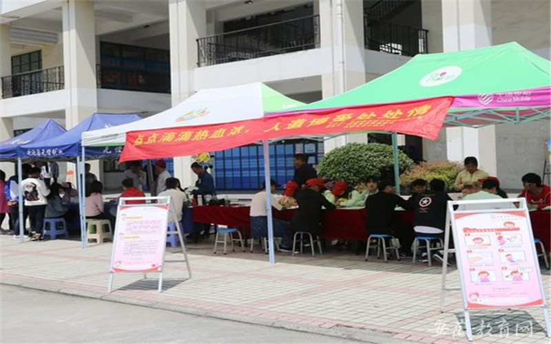 合肥信息技术职业学院2021年在河北省招生专业及各专业招生计划人数