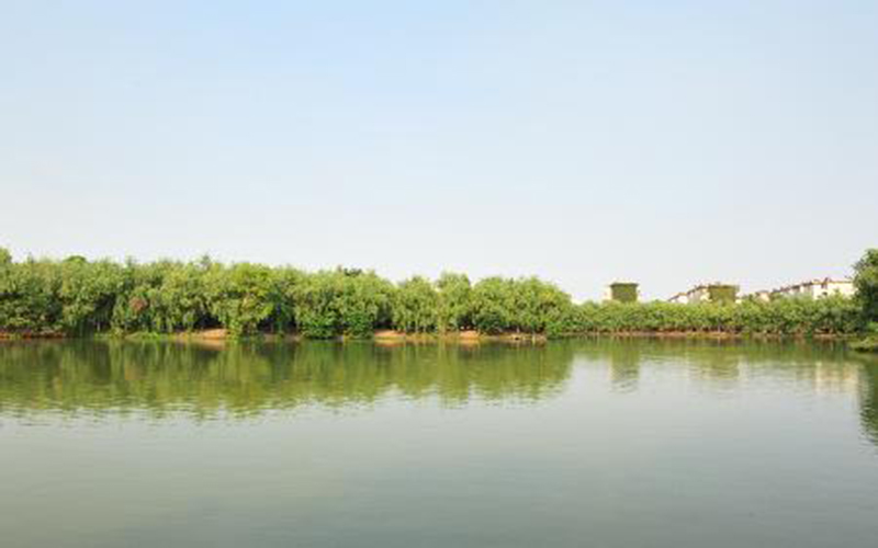 淮南师范学院2021年在山东省招生专业及各专业招生计划人数