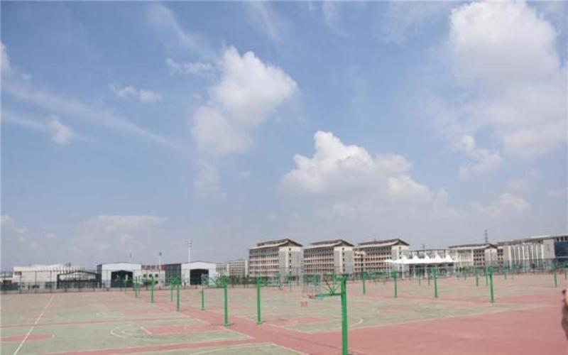 【2024河北历史类参考】2023年甘肃财贸职业学院各专业在河北招生分数线汇总