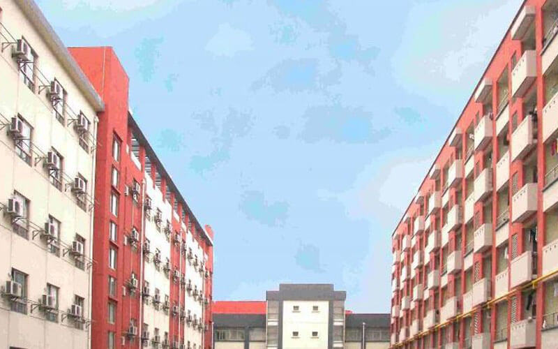 2022年上海震旦职业学院在黑龙江招生专业及招生人数汇总（2023考生参考）