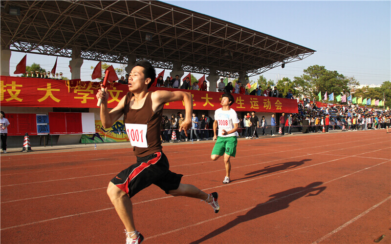 2024年文华学院智能电网信息工程专业在内蒙古录取分数线参考