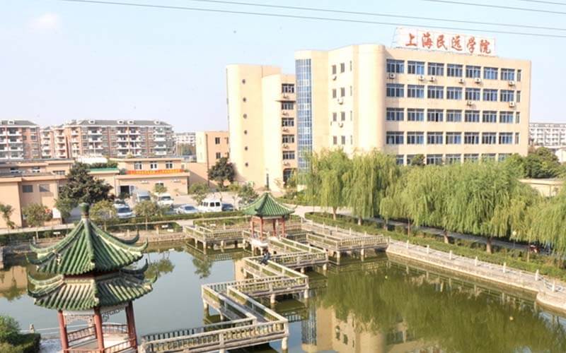 2023年上海民远职业技术学院在上海录取批次及录取分数参考