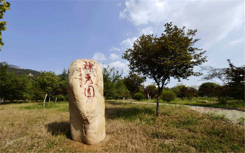 2023年泰山学院在重庆招生专业及招生人数汇总