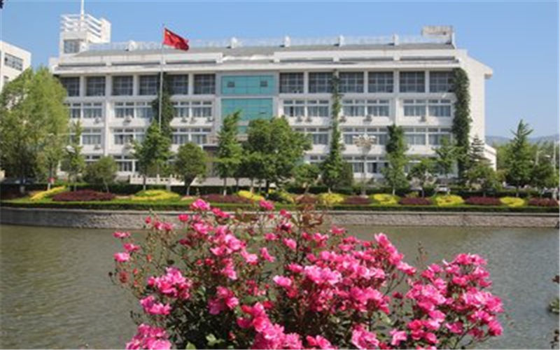 泰山职业技术学院2022青海文科招生专业及招生人数汇总