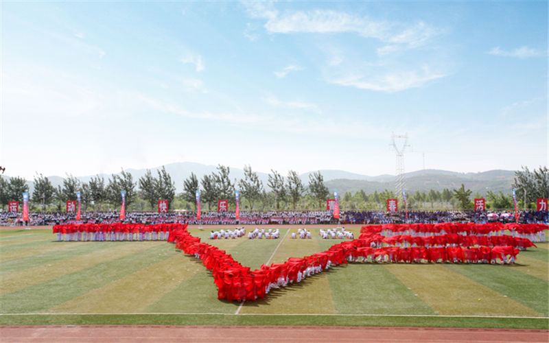 【2022高考】菏泽家政职业学院在内蒙古各专业录取分数线及选科要求