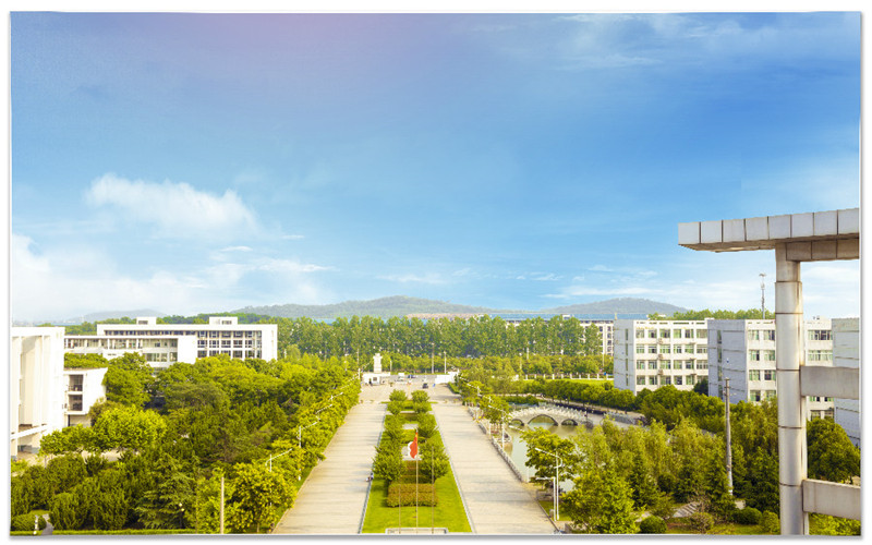 2023年南京理工大学紫金学院在陕西招生专业及招生人数汇总
