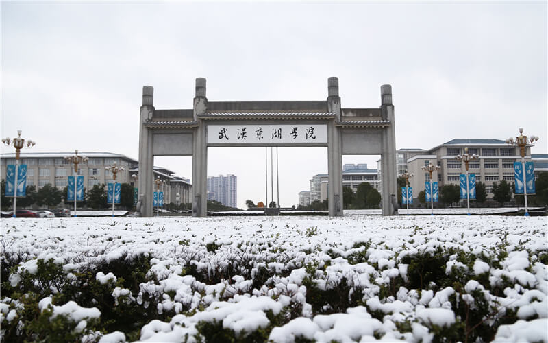 2024考生参考：2023武汉东湖学院电气工程及其自动化专业在山东招生录取分数及录取位次