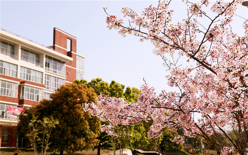 2023年武汉城市学院在四川招生专业及招生人数汇总