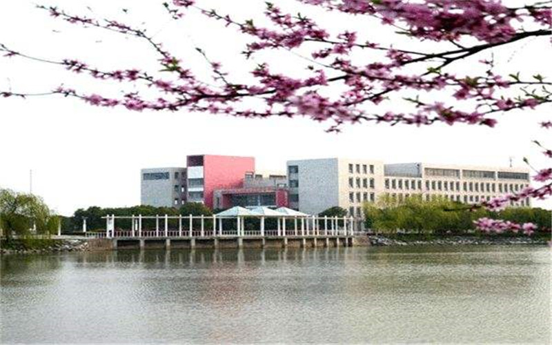 2023年盐城幼儿师范高等专科学校在四川招生专业及招生人数汇总