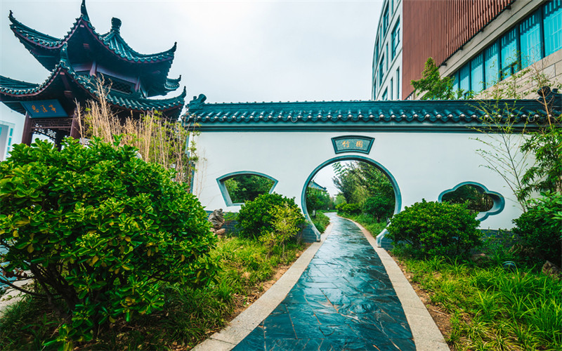 南京医科大学康达学院临床医学专业录取分数线【辽宁高考物理类】