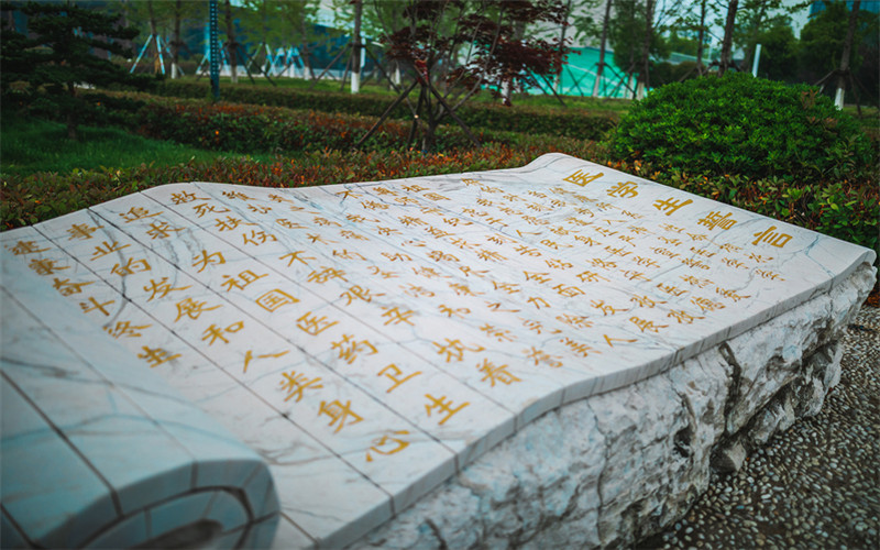 2023年南京医科大学康达学院在上海招生专业及招生人数汇总(2024考生参考)