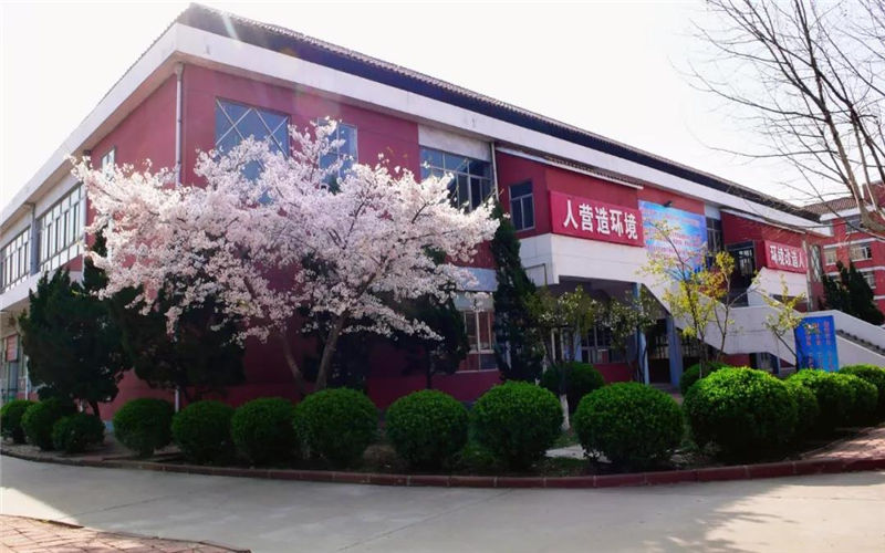 临沂职业学院在安徽各专业录取分数一览表(含2021-2020历年)