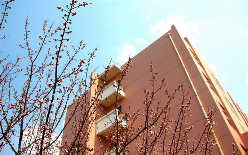 2023年山东水利职业学院在四川招生专业及招生人数汇总