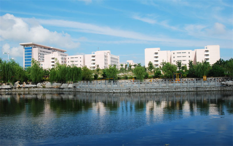 2023年山东水利职业学院在黑龙江招生专业及招生人数汇总