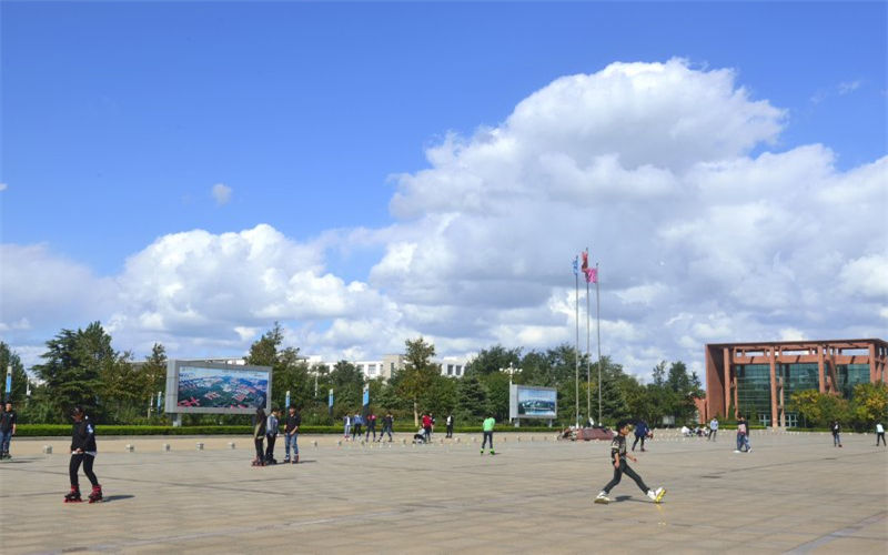 烟台黄金职业学院2021年在青海省招生专业及各专业招生计划人数