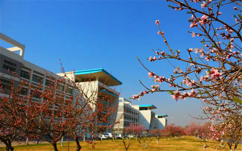2024考生参考：2023山东电子职业技术学院智能医疗装备技术专业在山东招生录取分数及录取位次