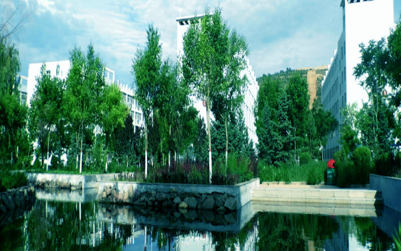 2023年宁夏师范学院在内蒙古招生专业及招生人数汇总