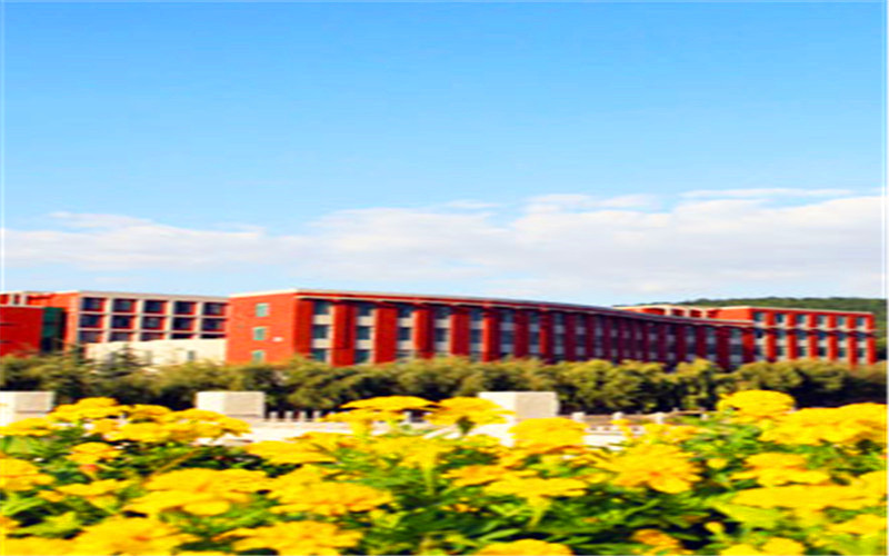 山东综合考生排多少名可以上淄博师范高等专科学校小学英语教育（师范类）专业?