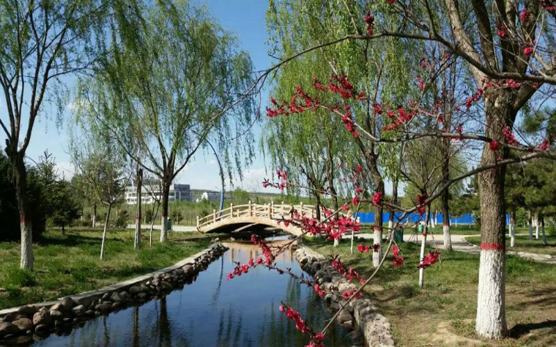 【2023高考参考】宁夏师范学院2022年内蒙古招生专业及招生计划一览表