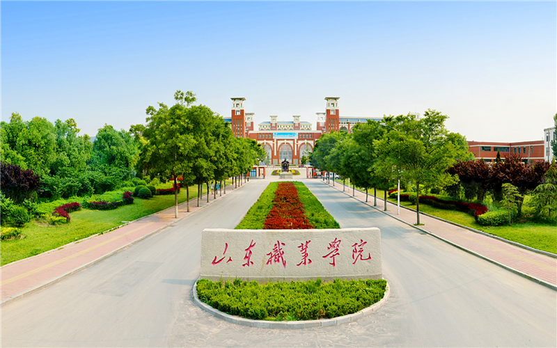2022年山东职业学院在甘肃招生专业及招生人数汇总（2023考生参考）