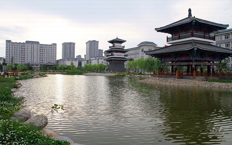 2023年陕西理工大学在宁夏招生专业及招生人数汇总(2024考生参考)