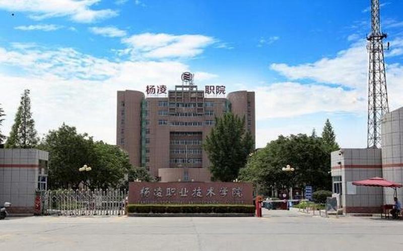 2023年杨凌职业技术学院在宁夏招生专业及招生人数汇总