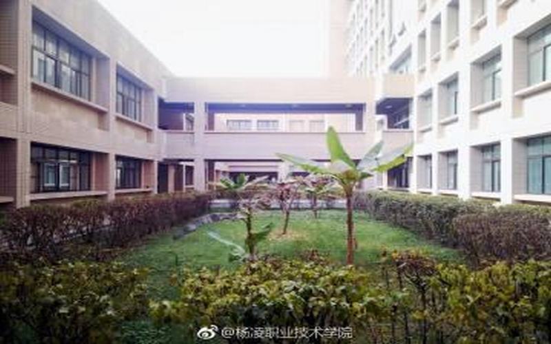 杨凌职业技术学院2021年在陕西省招生专业及各专业招生计划人数