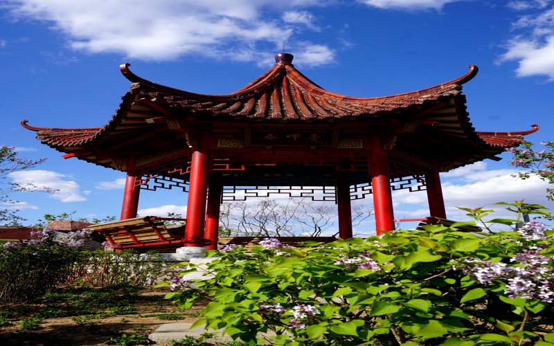 多少分可以上中国医科大学？中国医科大学2022年在云南各招生专业录取分数汇总