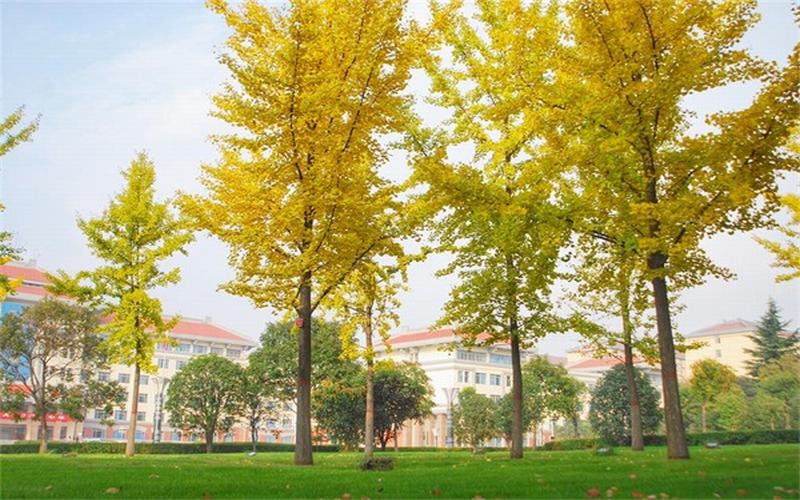 2023年西安思源学院在广东招生专业有哪些？学费是多少？