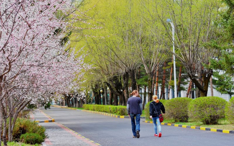 2023年黑龙江林业职业技术学院在广东招生专业有哪些？学费是多少？