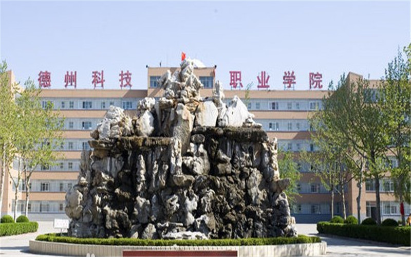 山东综合考生排多少名可以上德州科技职业学院软件技术（一）专业?