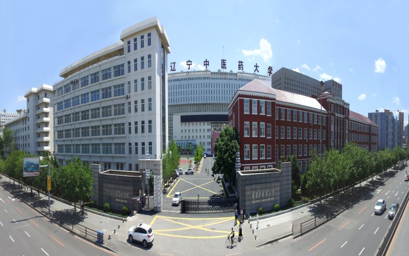 2024考生参考：2023辽宁中医药大学针灸推拿学专业在辽宁招生录取分数及录取位次
