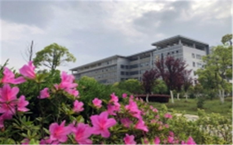 ★安徽汽车职业技术学院2022宁夏招生计划_安徽汽车职业技术学院2022宁夏招生专业及招生人数汇总