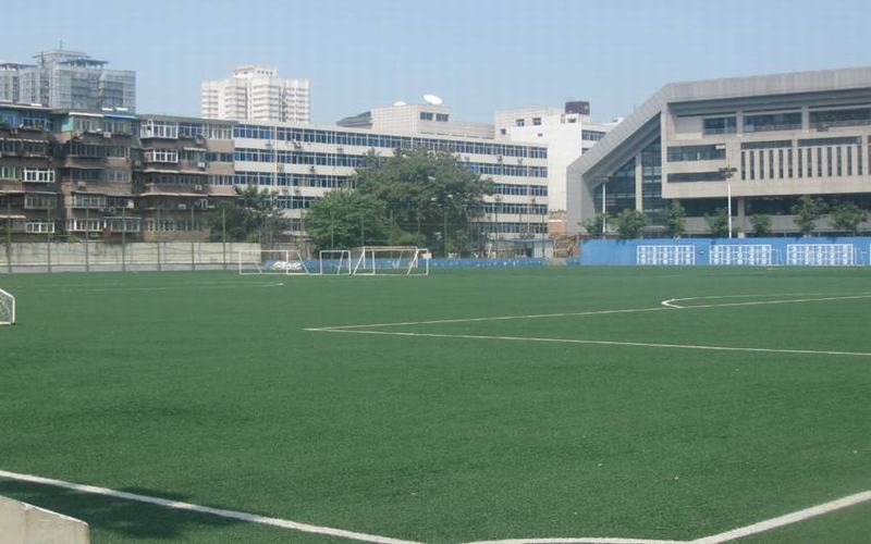 2023年西安体育学院在陕西招生专业及招生人数汇总