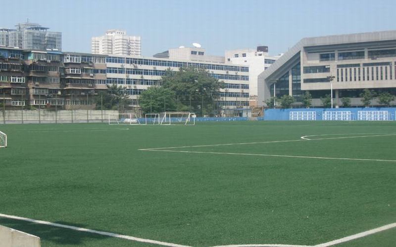 2023年西安体育学院在新疆招生专业有哪些？学费是多少？