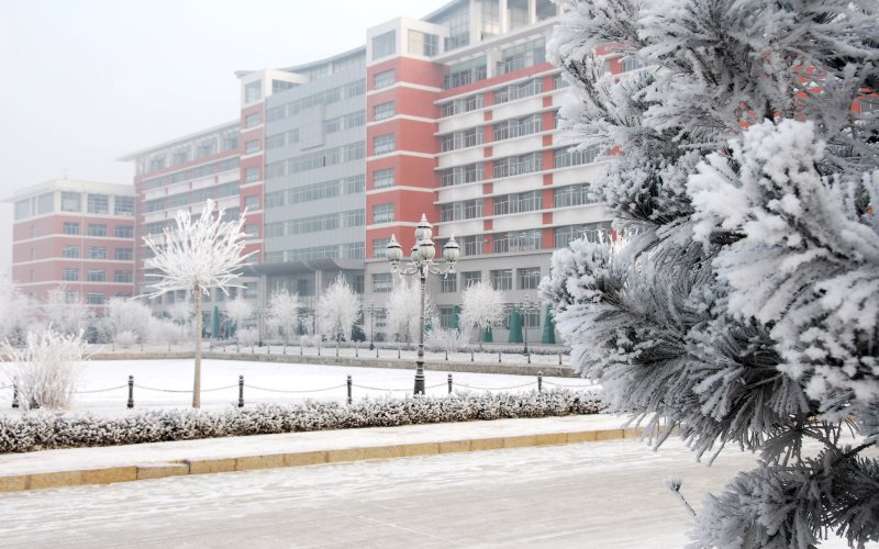 多少分可以上黑龙江生物科技职业学院？黑龙江生物科技职业学院2021年在辽宁各专业录取分数线