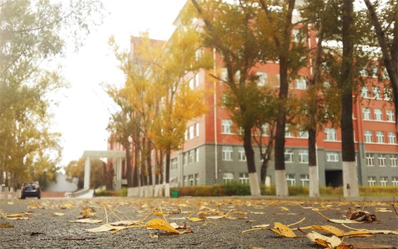 内蒙古文科考生排多少名可以上黑龙江交通职业技术学院铁道供电技术专业?